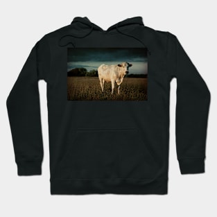 Bullock#8 Hoodie